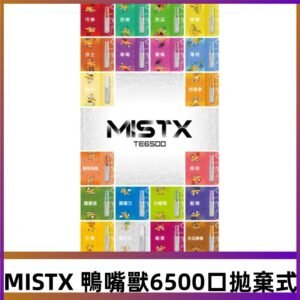 MIST X 鴨嘴獸6500口拋棄式電子煙#台灣現貨#